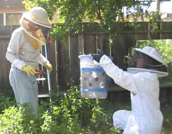 I hand the bucket of bees to Pamina