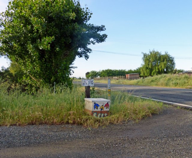 Entrance to where I got the bees