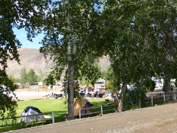 Bellevue campsite from the road