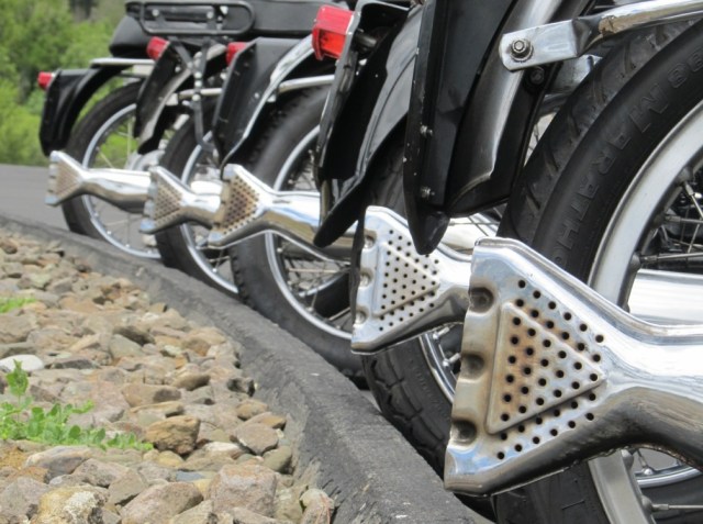Fishtails lined up after the ride